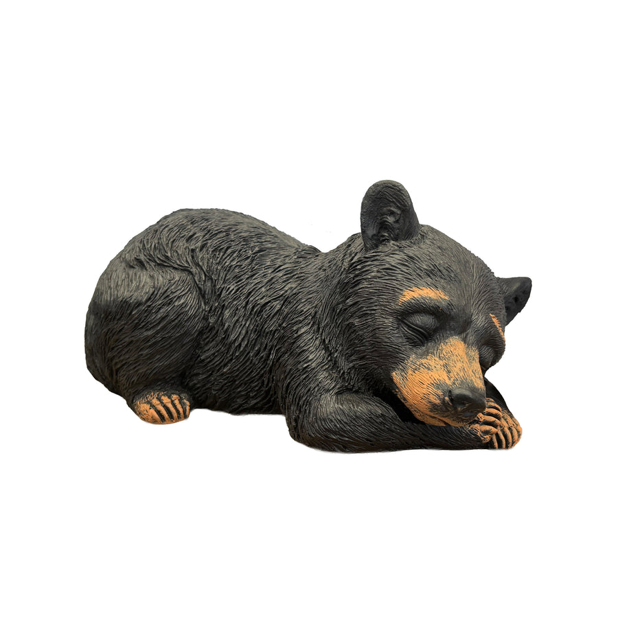 Bear Cub Napping