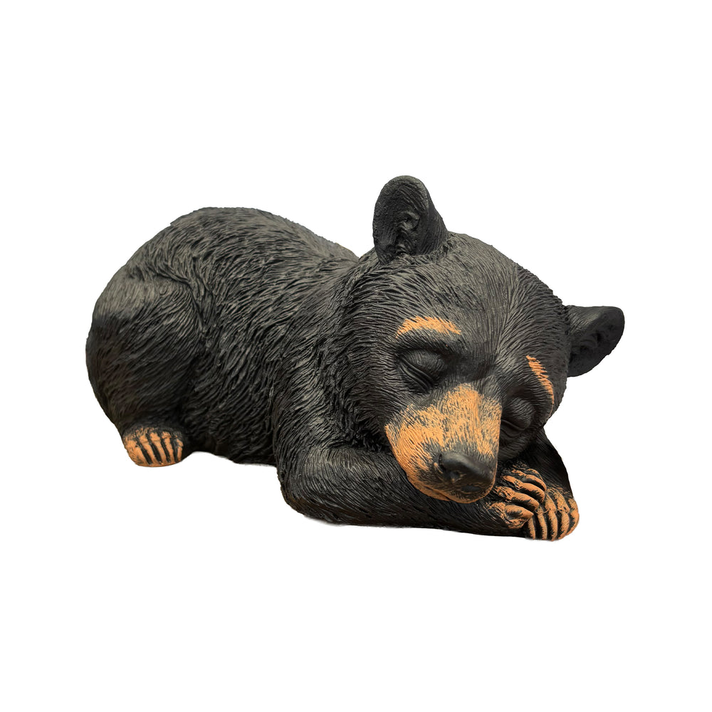 Bear Cub Napping