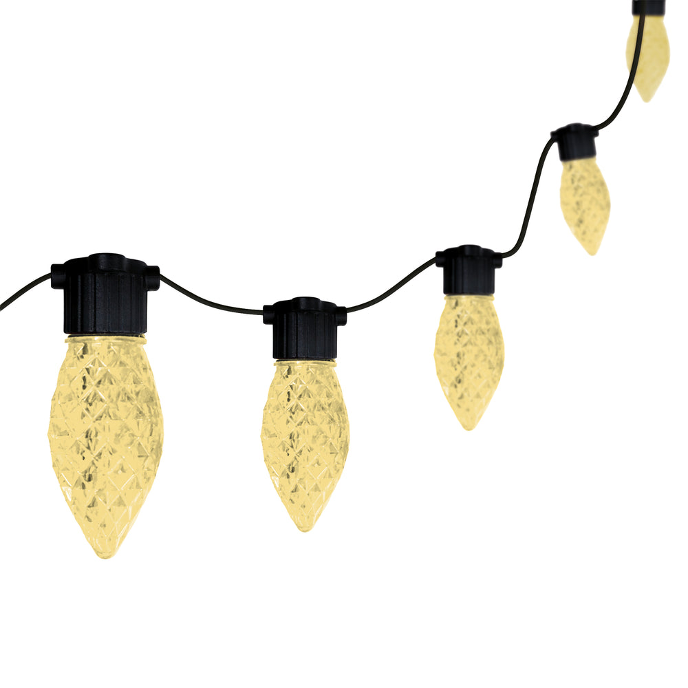 Faceted "All Seasons" C9 LED String Light Set Warm White