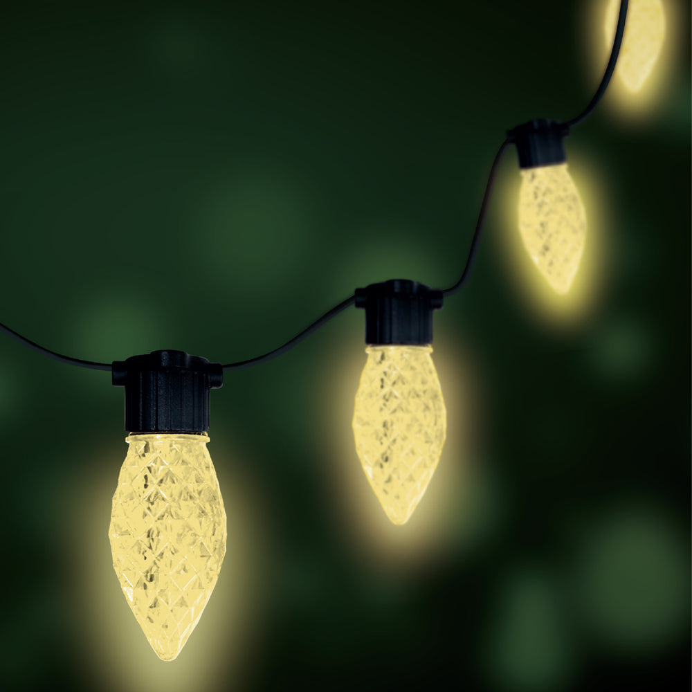 Faceted "All Seasons" C9 LED String Light Set