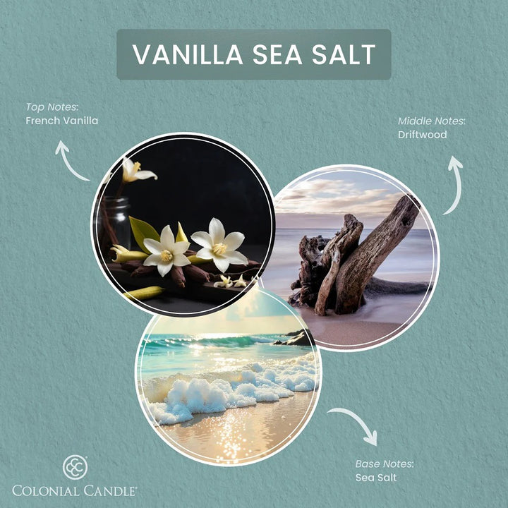 Vanilla Sea Salt Pop of Color Candle, 14.5oz