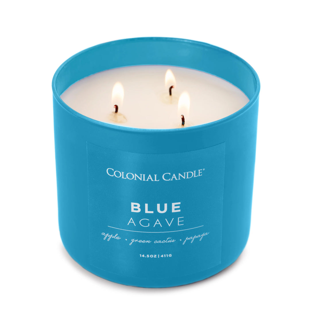 Blue Agave Pop of Color Candle, 14.5oz