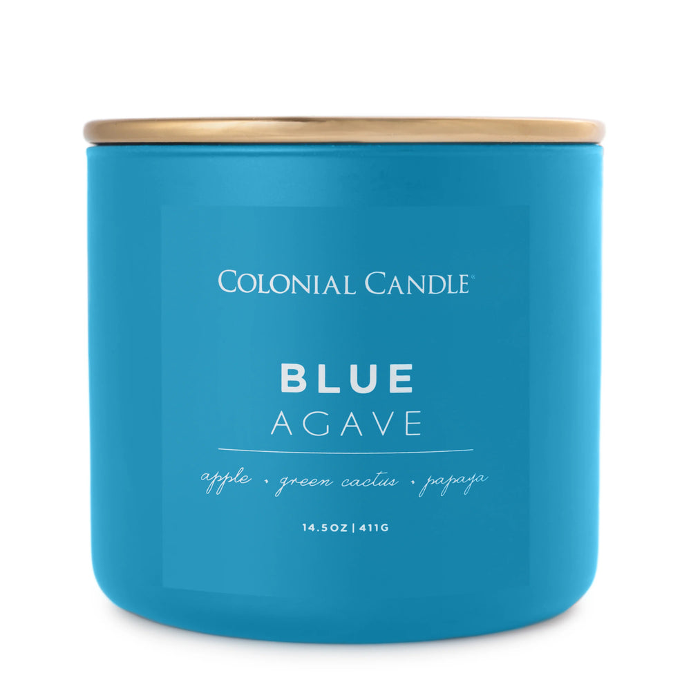 Blue Agave Pop of Color Candle, 14.5oz