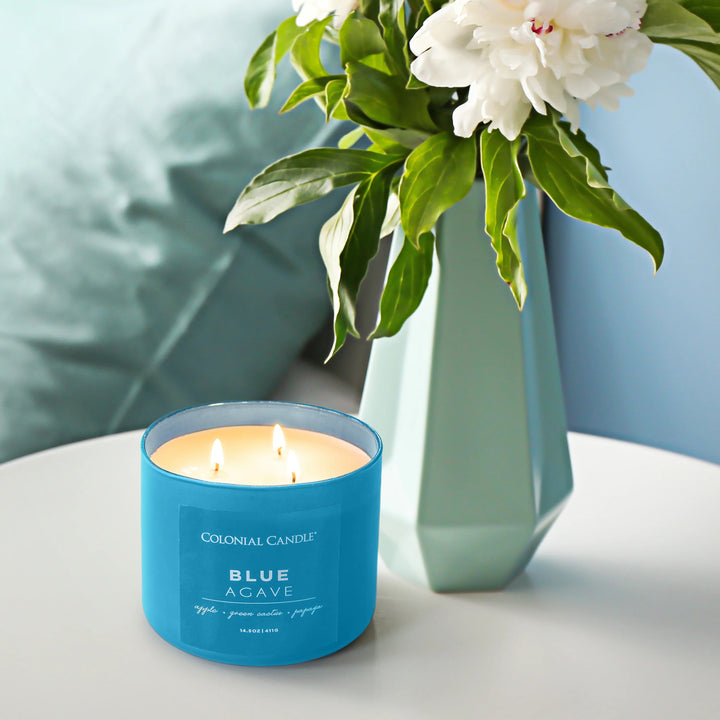 Blue Agave Pop of Color Candle, 14.5oz