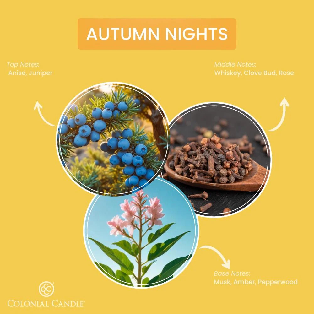 Autumn Nights Pop of Color Candle, 14.5oz