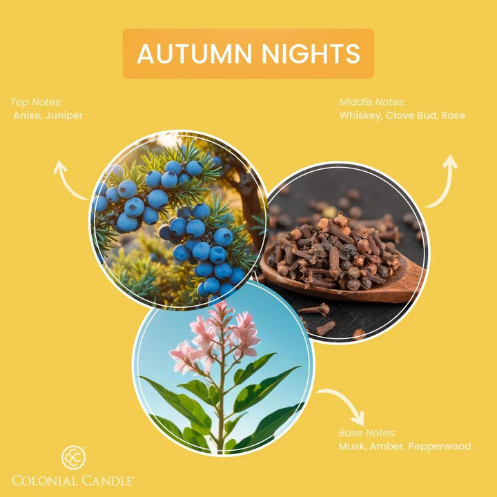 Autumn Nights Pop of Color Candle, 14.5oz