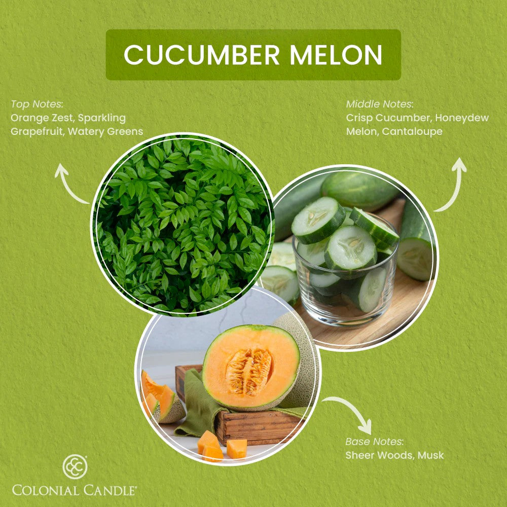 Cucumber Melon Pop of Color Candle, 14.5oz