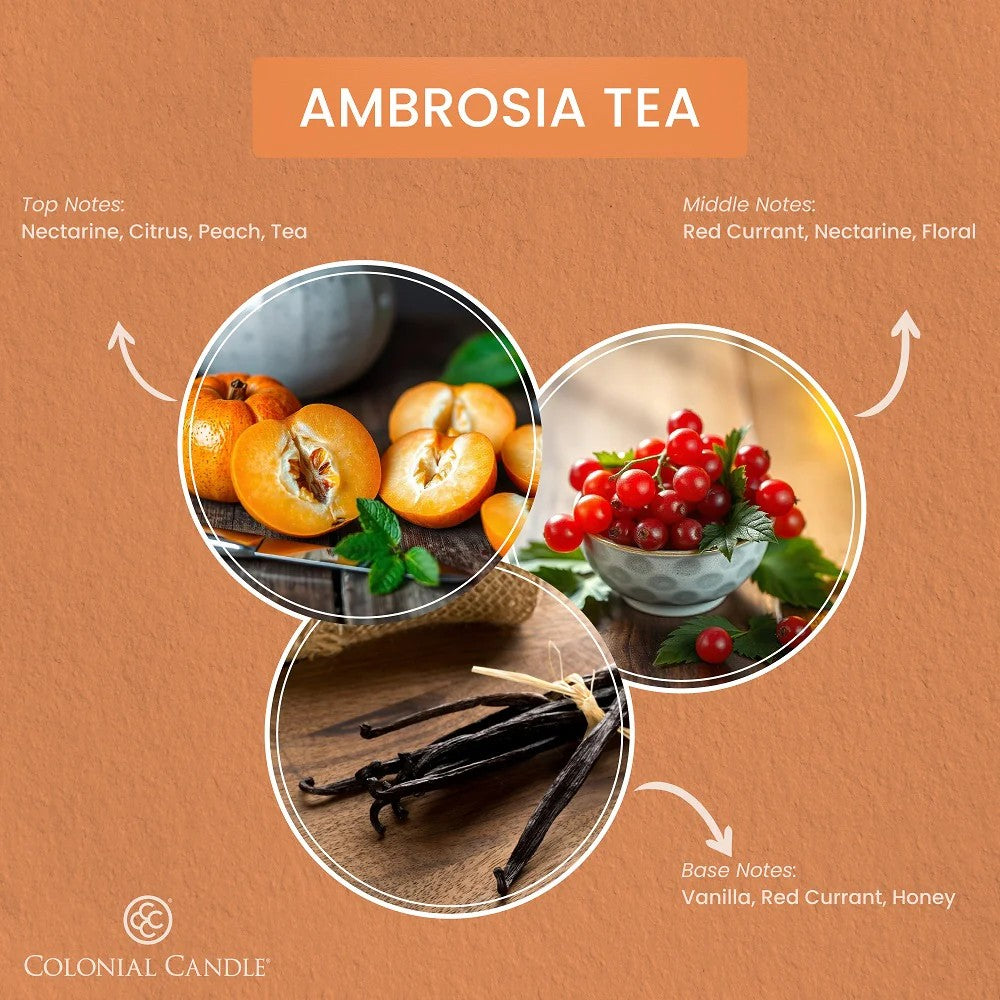 Ambrosia Tea Pop of Color Candle, 14.5oz