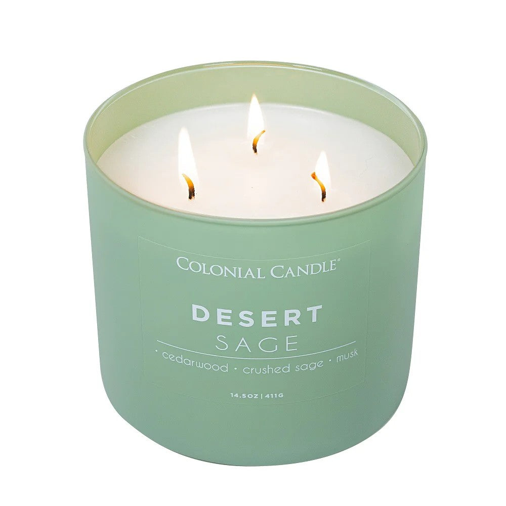 Desert Sage Pop of Color Candle, 14.5oz
