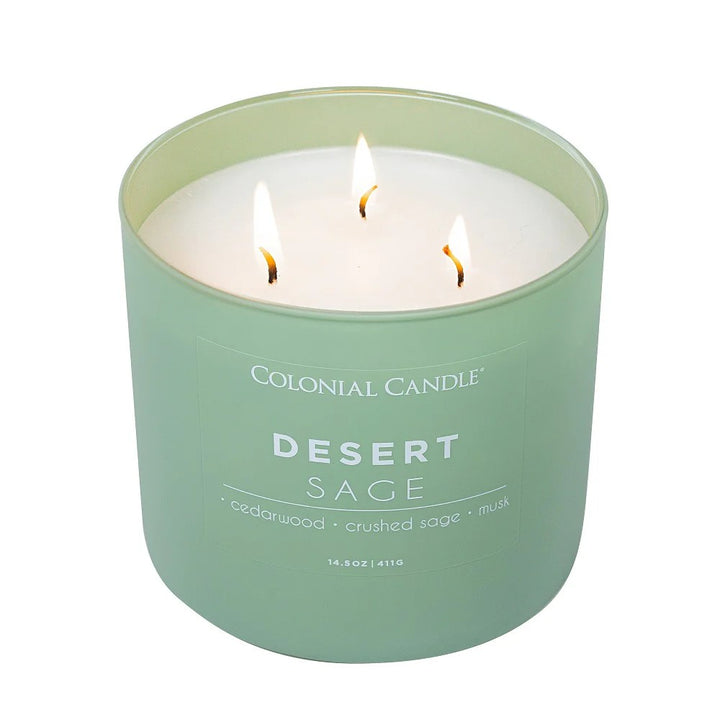 Desert Sage Pop of Color Candle, 14.5oz