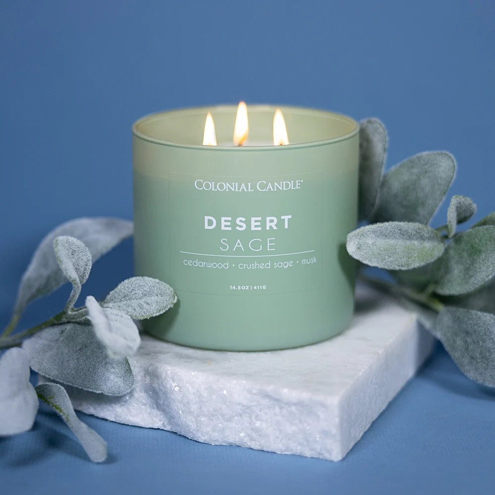 Desert Sage Pop of Color Candle, 14.5oz