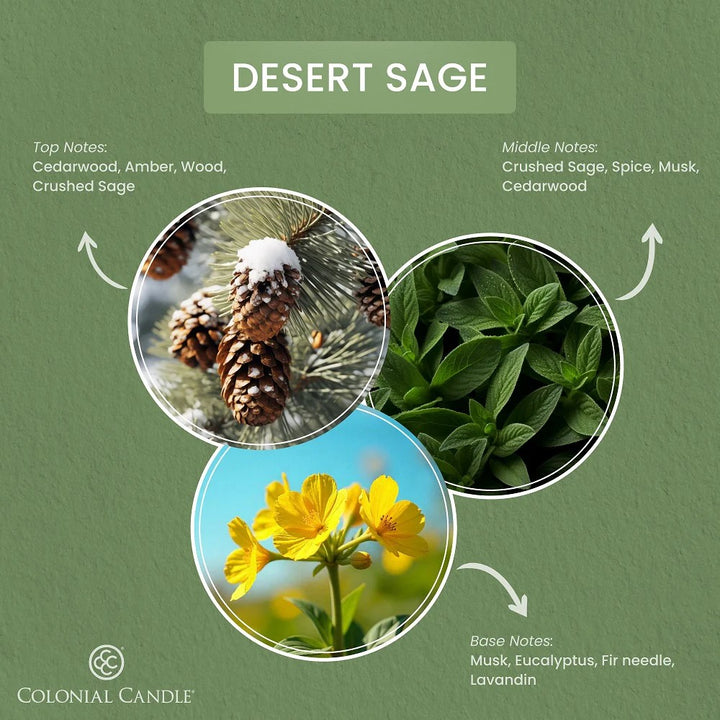 Desert Sage Pop of Color Candle, 14.5oz