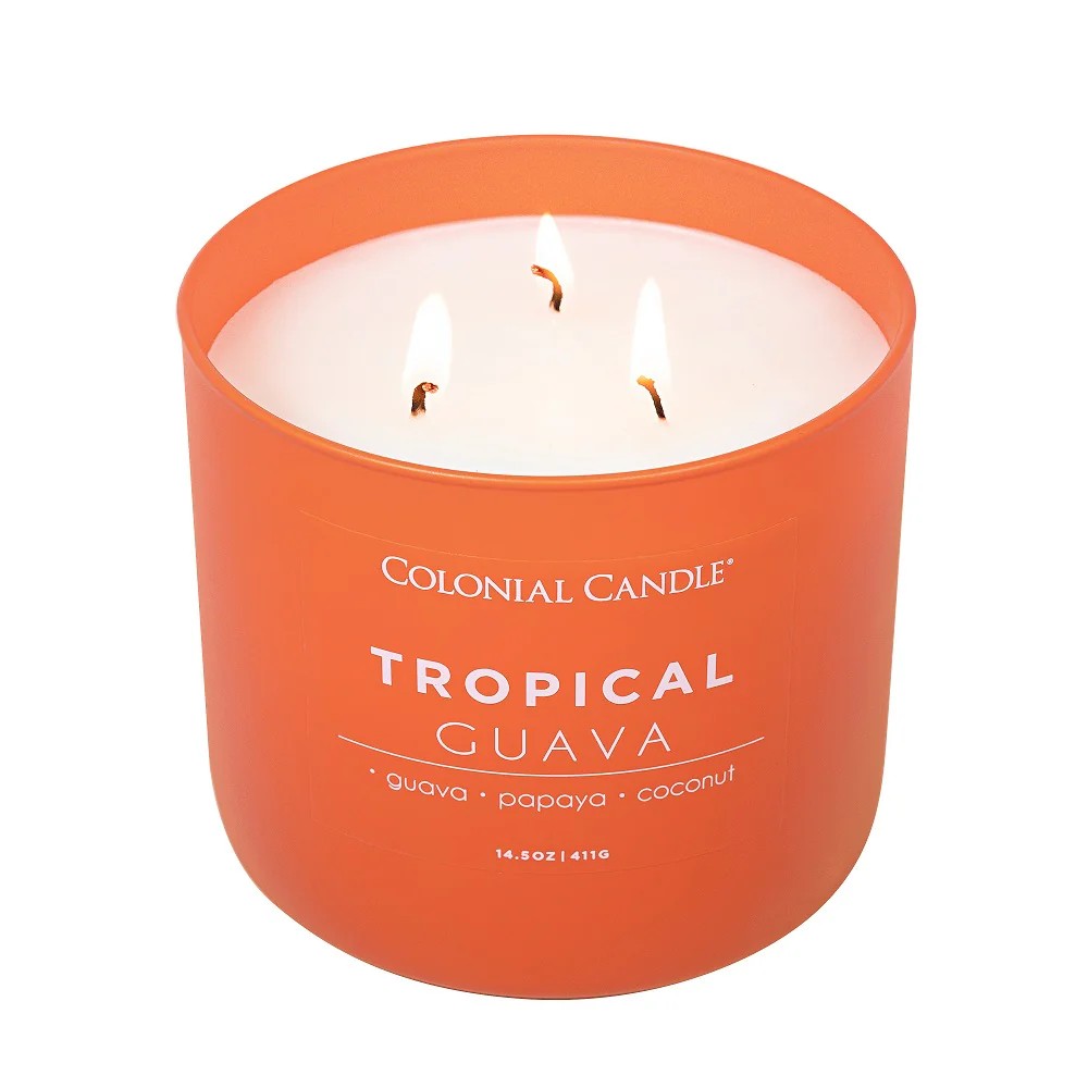 Tropical Guava Pop of Color Candle, 14.5oz