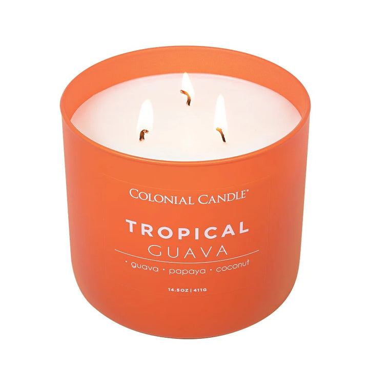 Tropical Guava Pop of Color Candle, 14.5oz