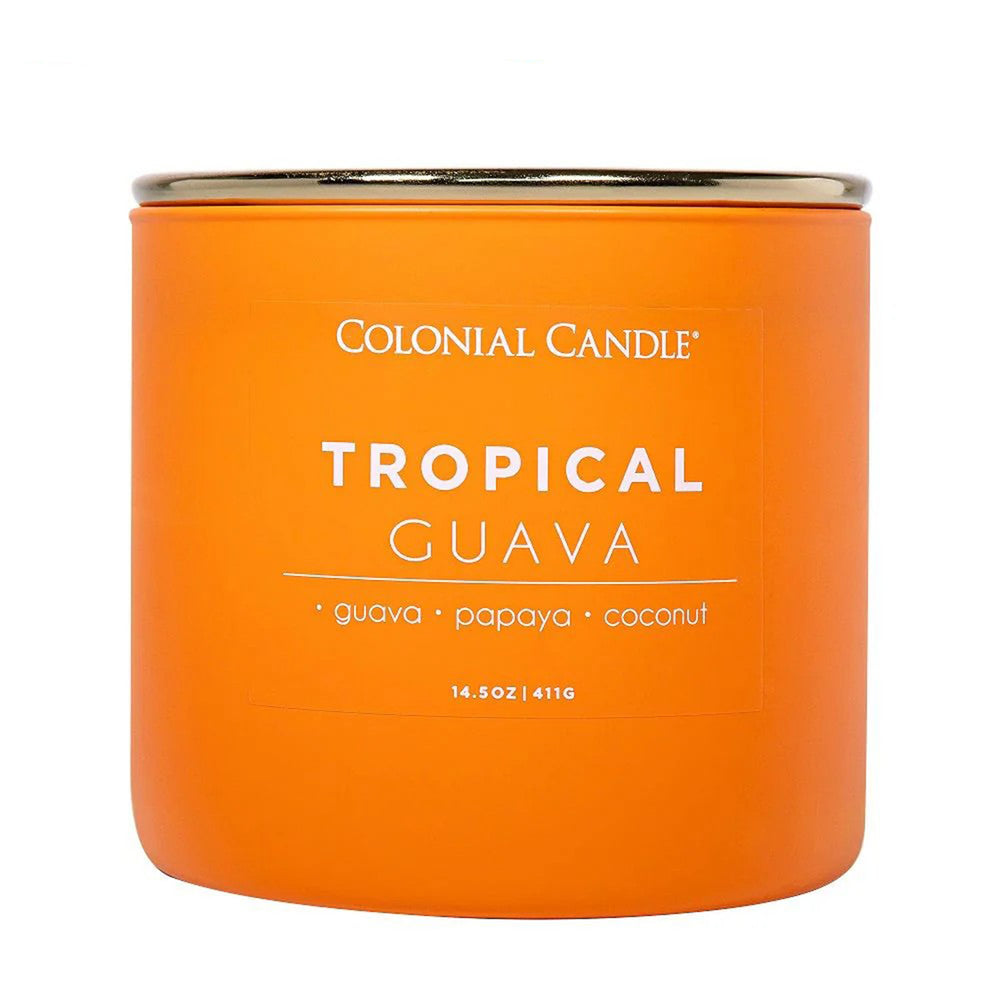 Tropical Guava Pop of Color Candle, 14.5oz