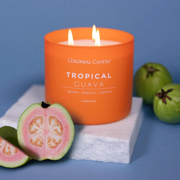 Tropical Guava Pop of Color Candle, 14.5oz