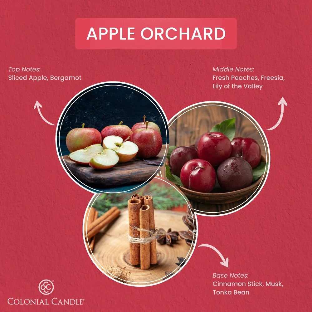 Apple Orchard Classic Oval Candle, 8oz