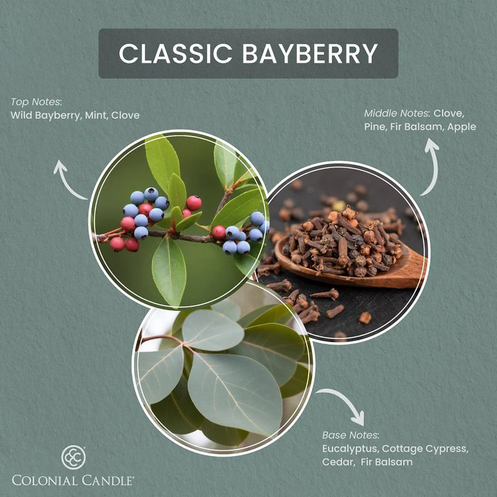 Classic Bayberry Classic Oval Candle, 8oz