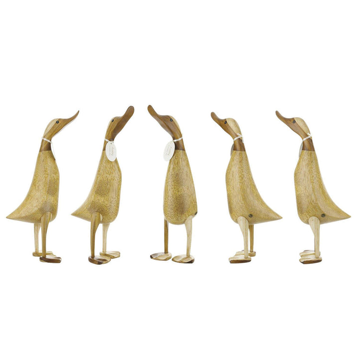 DCUK Natural Duck