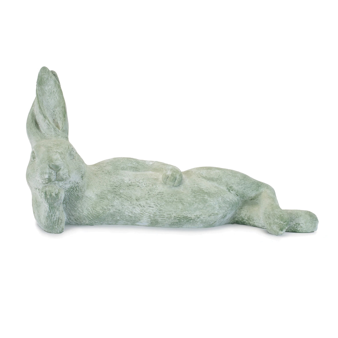 Rabbit Lying On Side