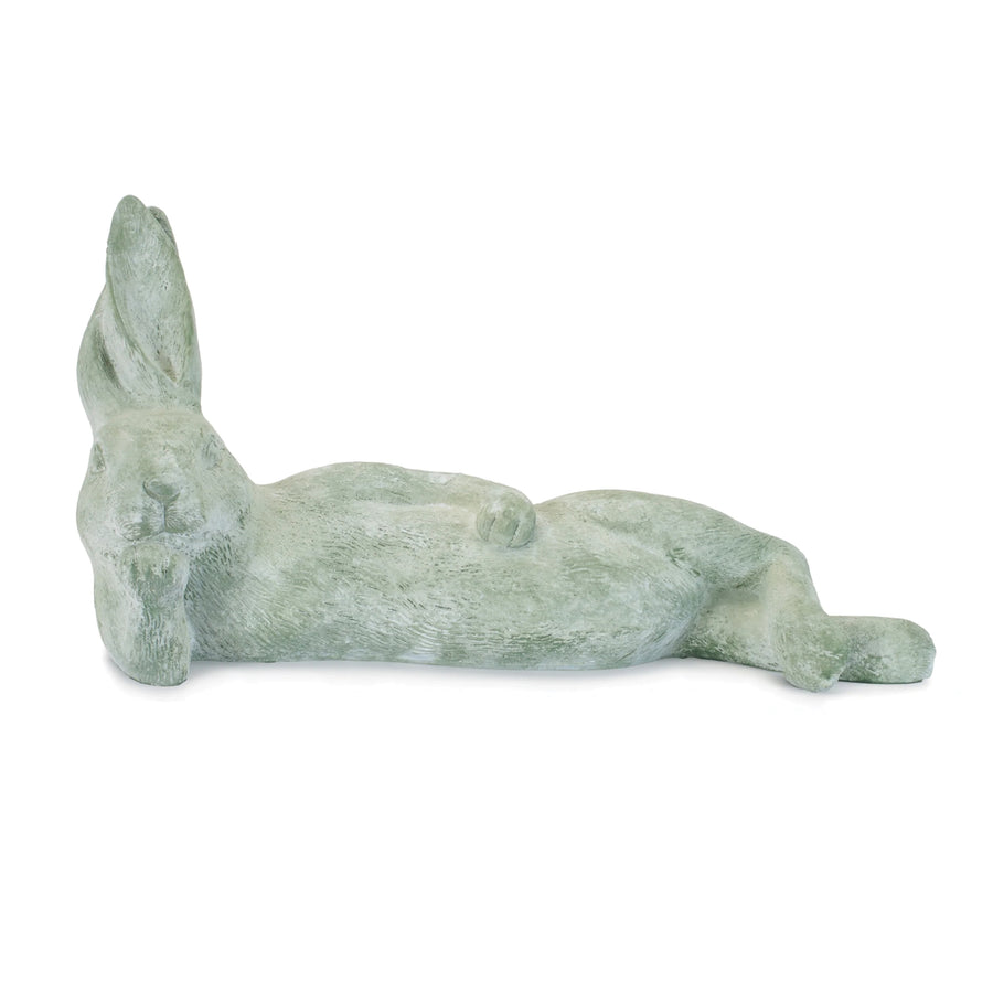 Rabbit Lying On Side