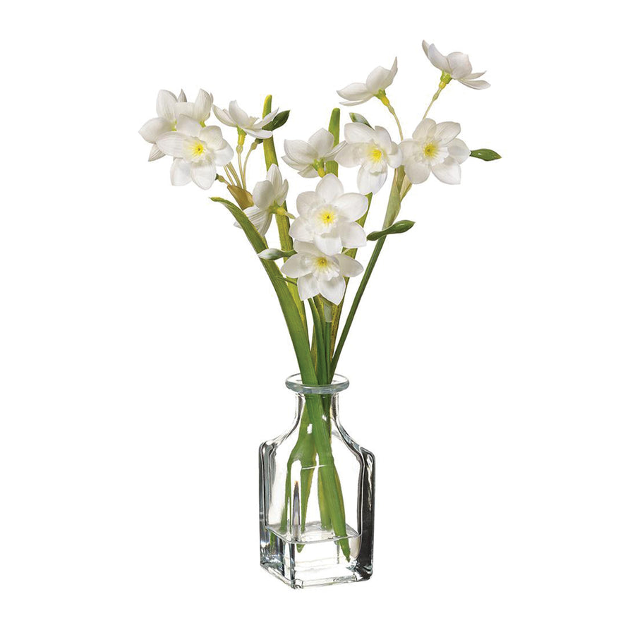 White Ranunculus in Glass Vase