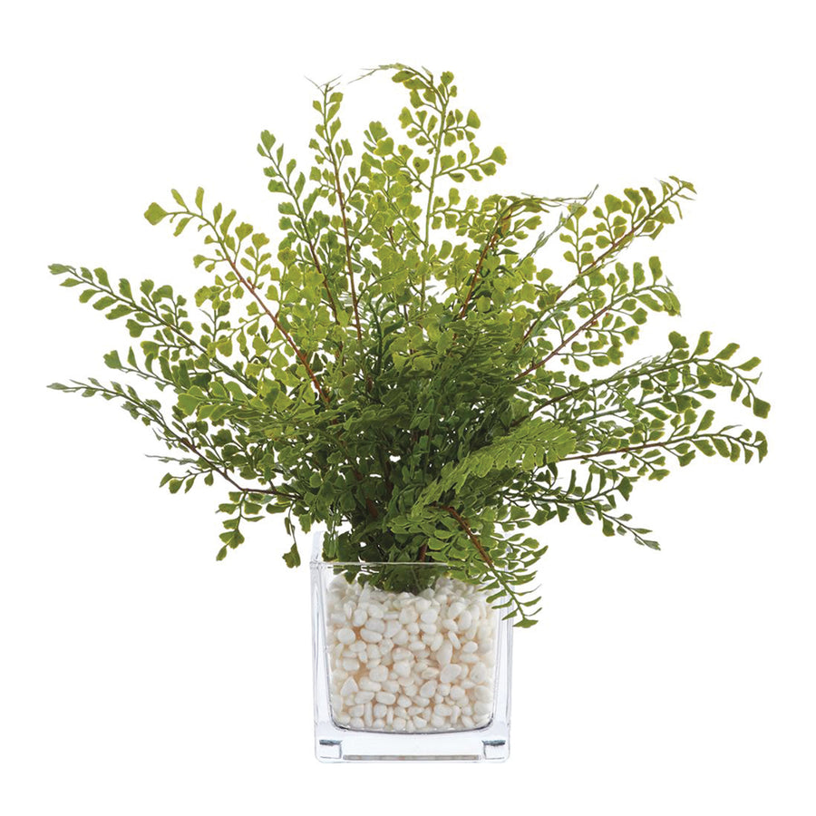Maidenhair Fern in Glass Vase