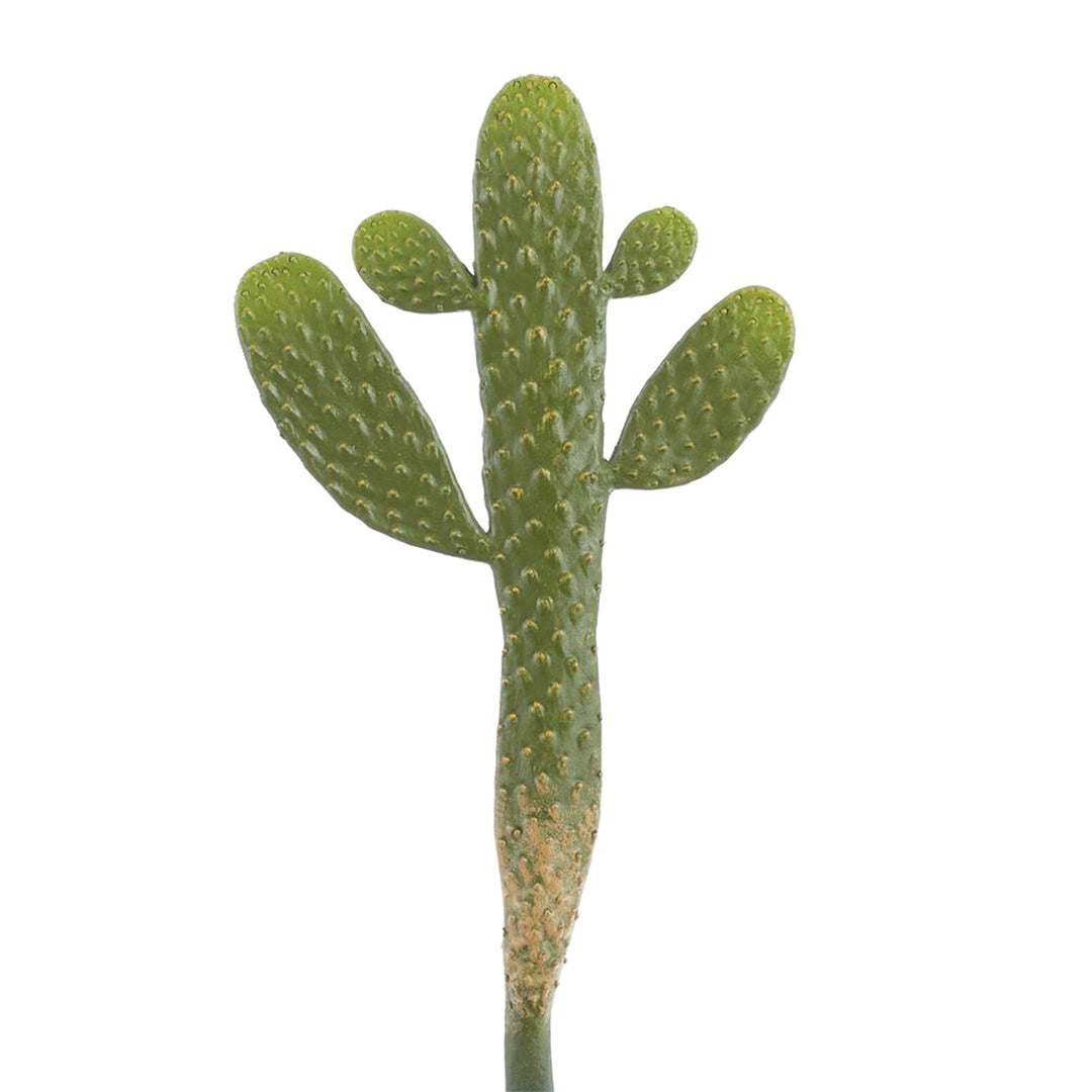 Prickly Pear Cactus Pick