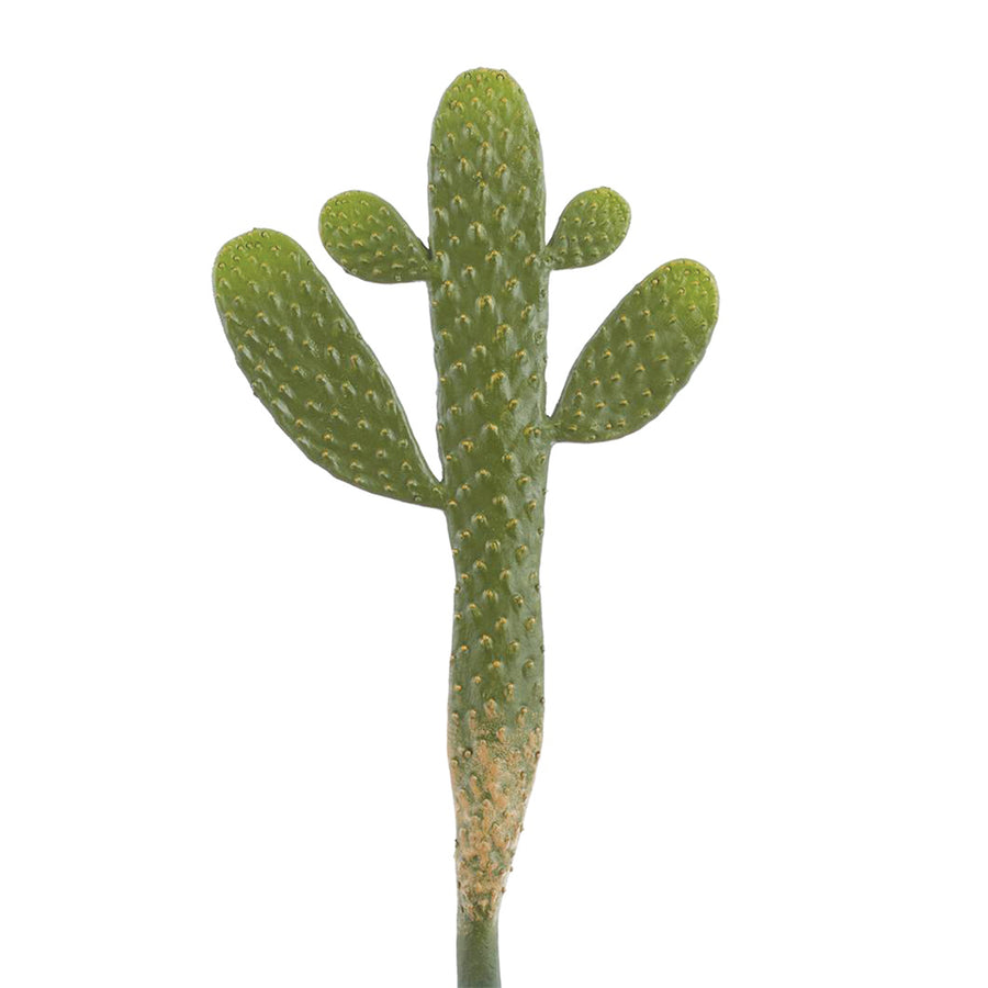 Prickly Pear Cactus Pick