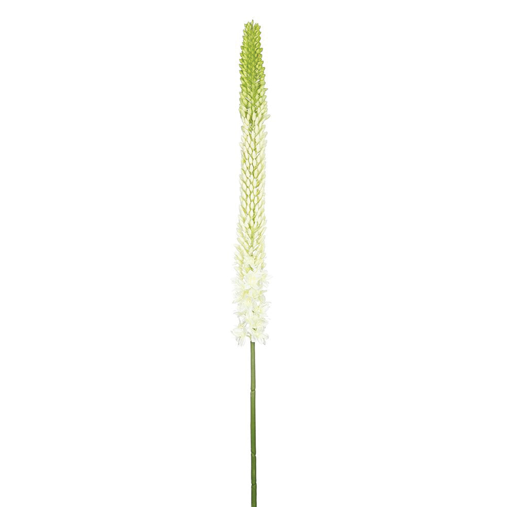 White & Green Foxtail Lily Spray 44 Inches