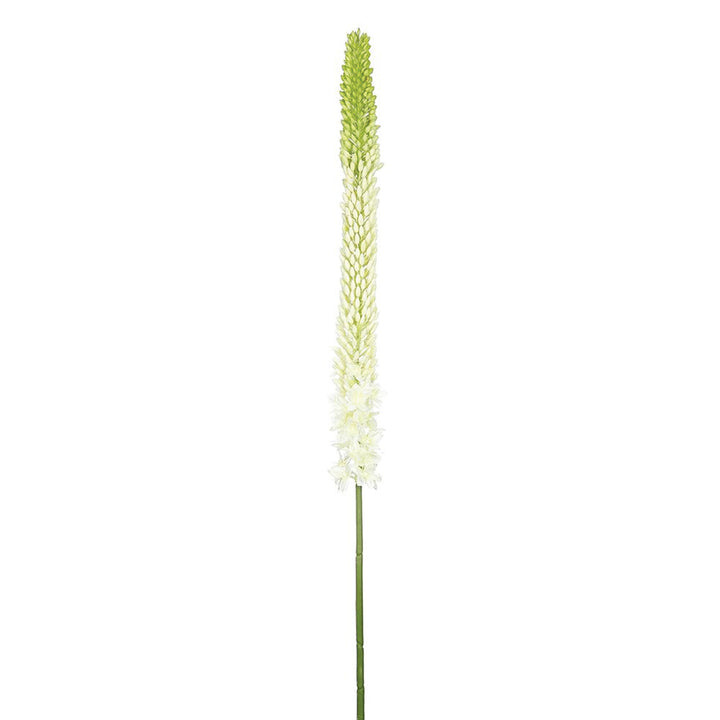 White & Green Foxtail Lily Spray 44 Inches