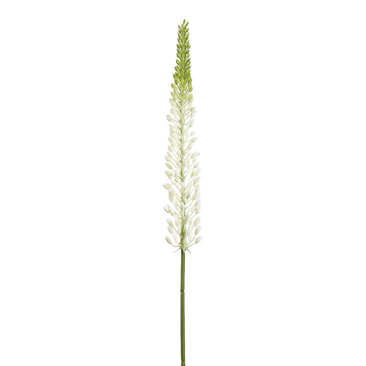 White & Green Foxtail Lily Spray 29.5 Inches