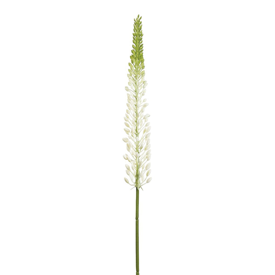 White & Green Foxtail Lily Spray 29.5 Inches
