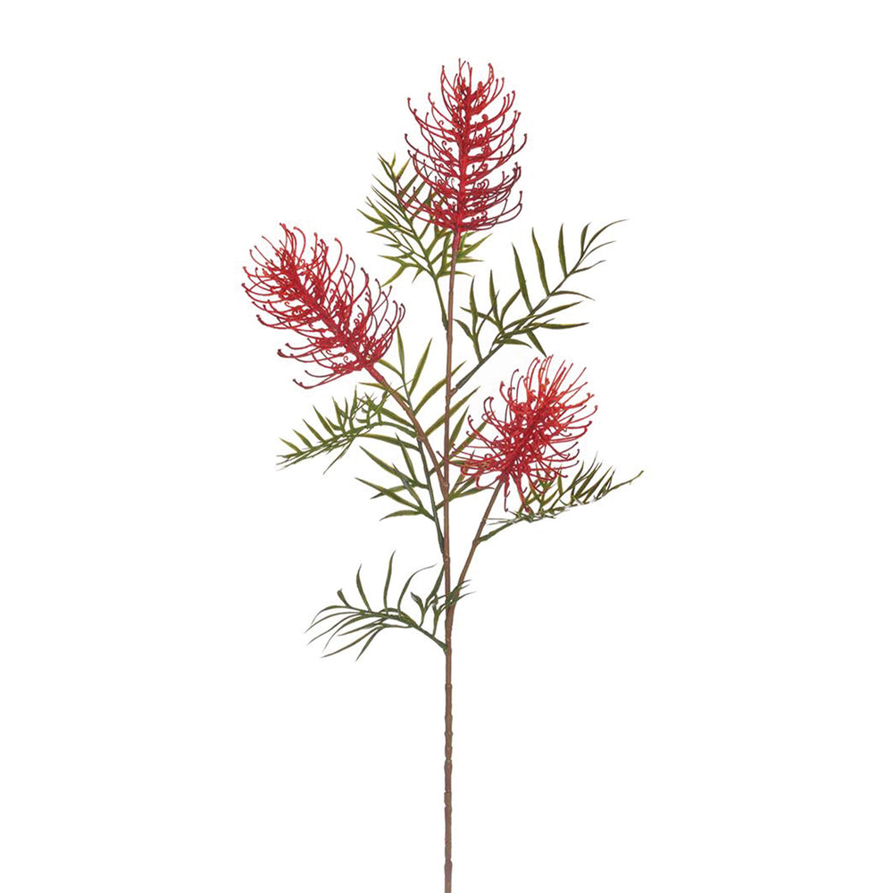 Grevillea Banksii Spray Red