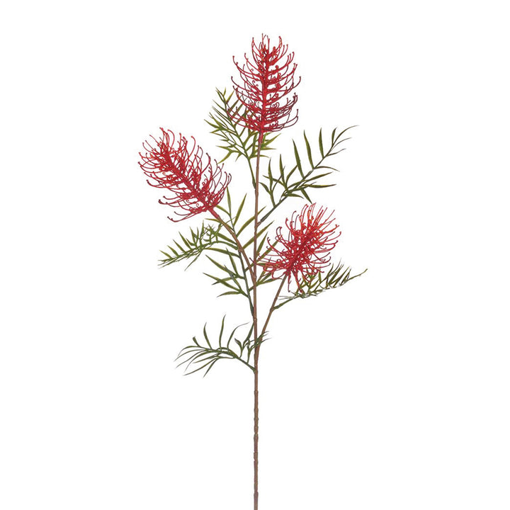 Grevillea Banksii Spray Red