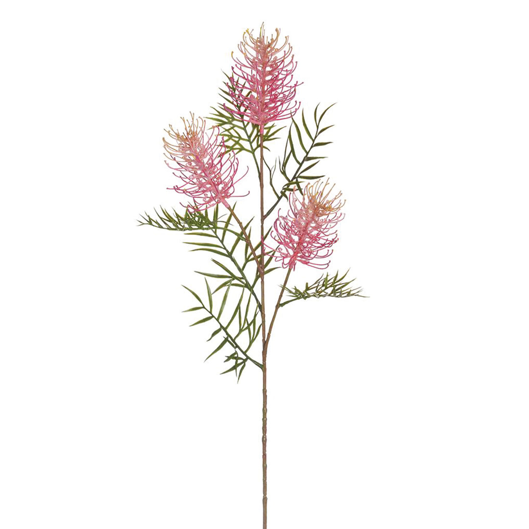 Grevillea Banksii Spray Pink