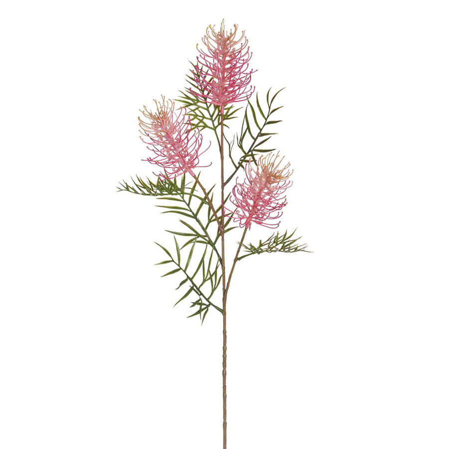 Grevillea Banksii Spray Pink