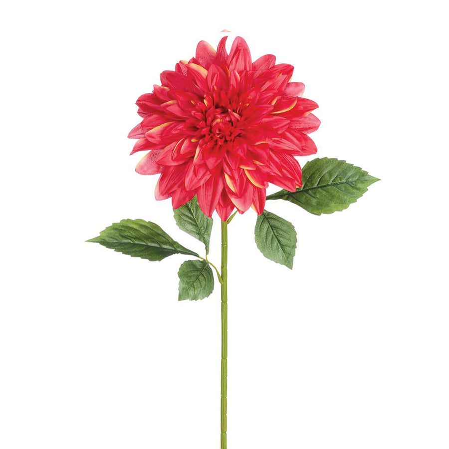 Dahlia Spray with Foliage