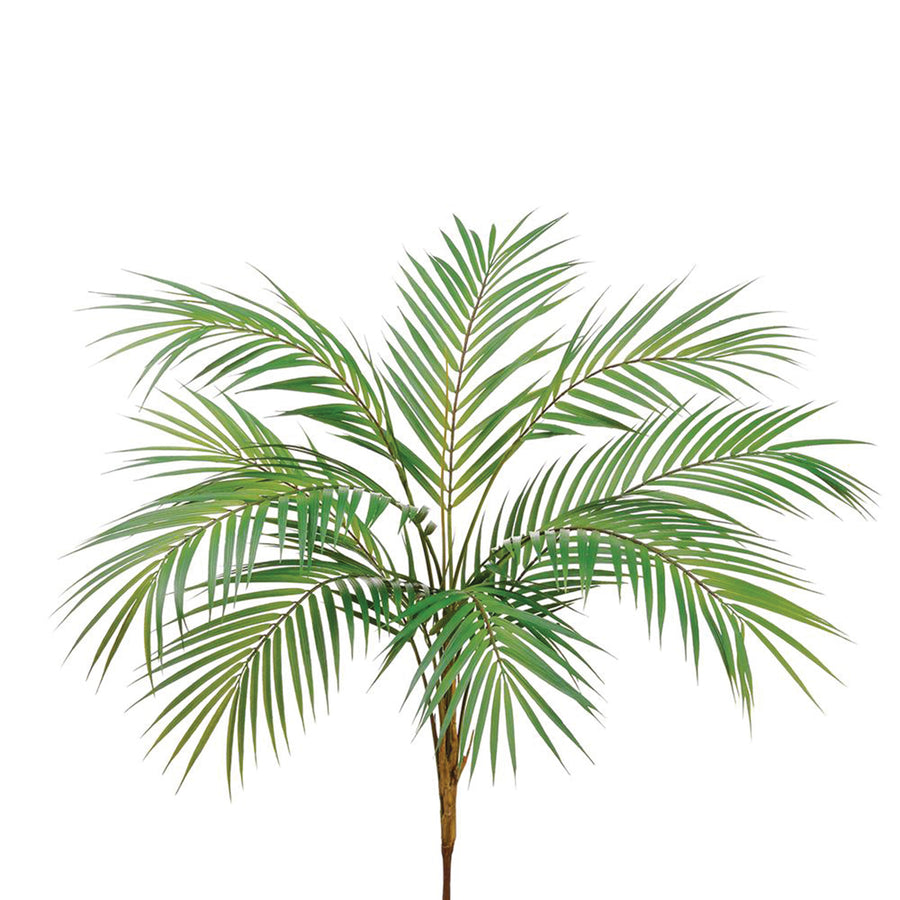 Areca Palm Spray