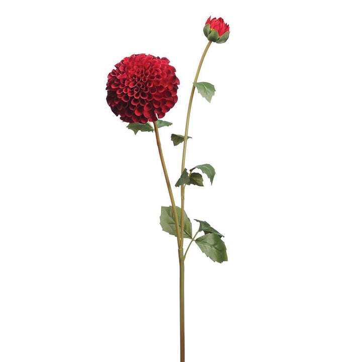 Dahlia & Bud Spray Collection Two-Tone Red