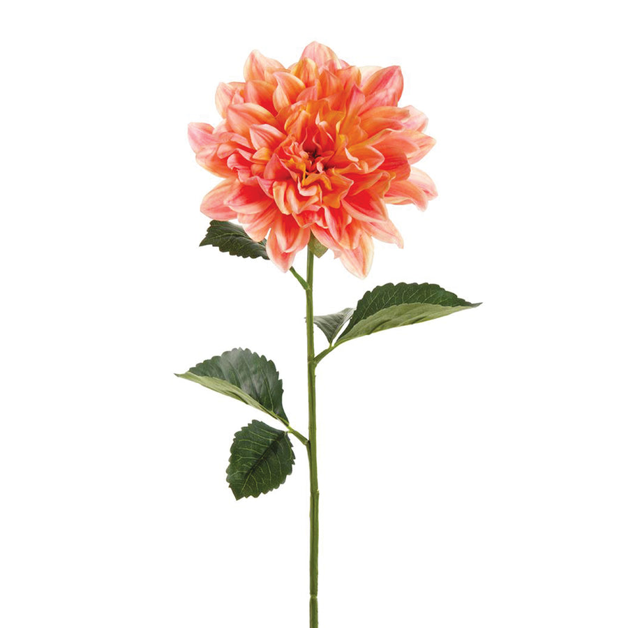 Two-Tone Coral Dahlia Spray
