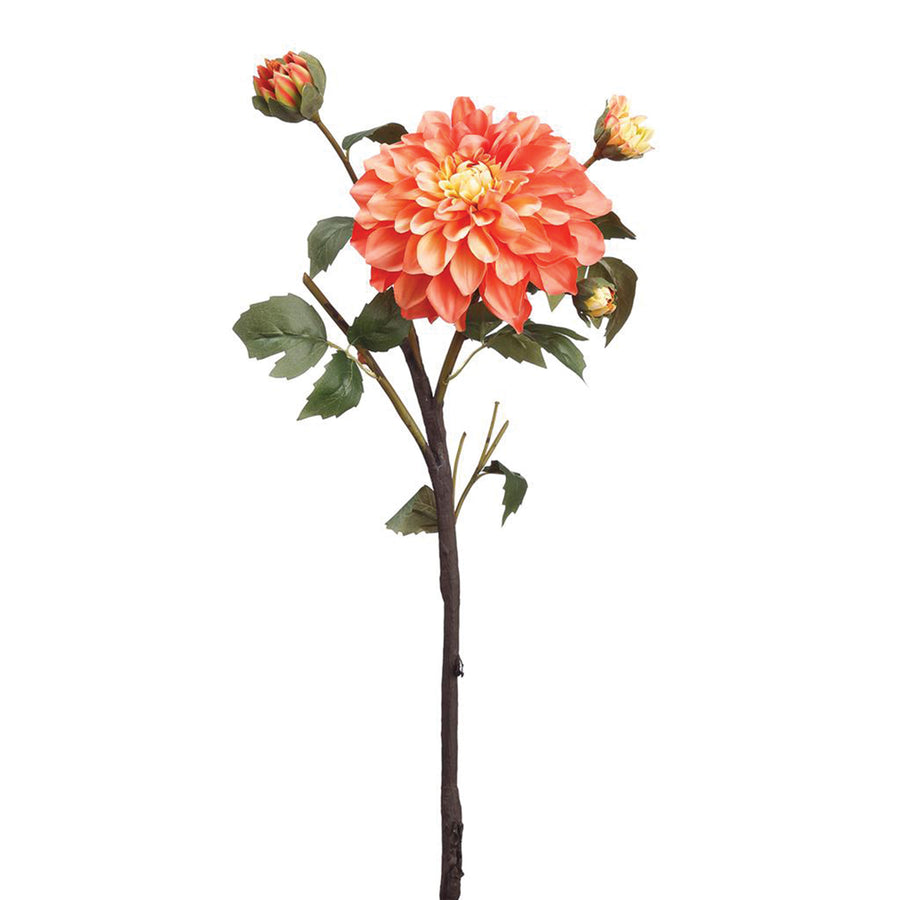 Dahlia Spray with Two Buds Two-Tone Coral