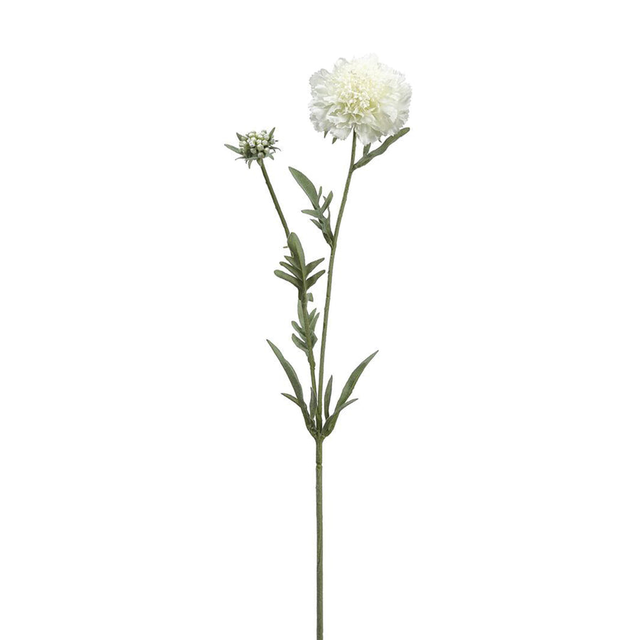 Cream Artificial Scabiosa Spray