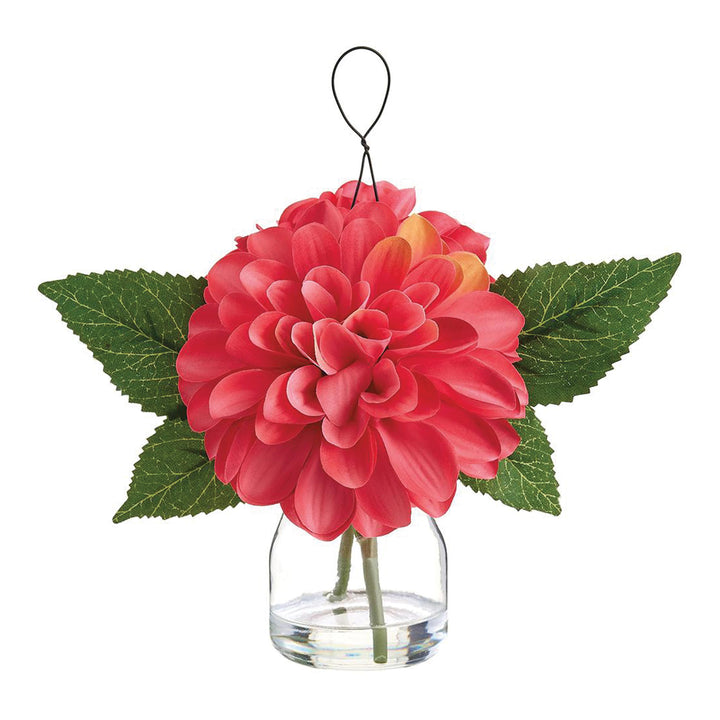 Hanging Dahlia in Glass Vase Coral