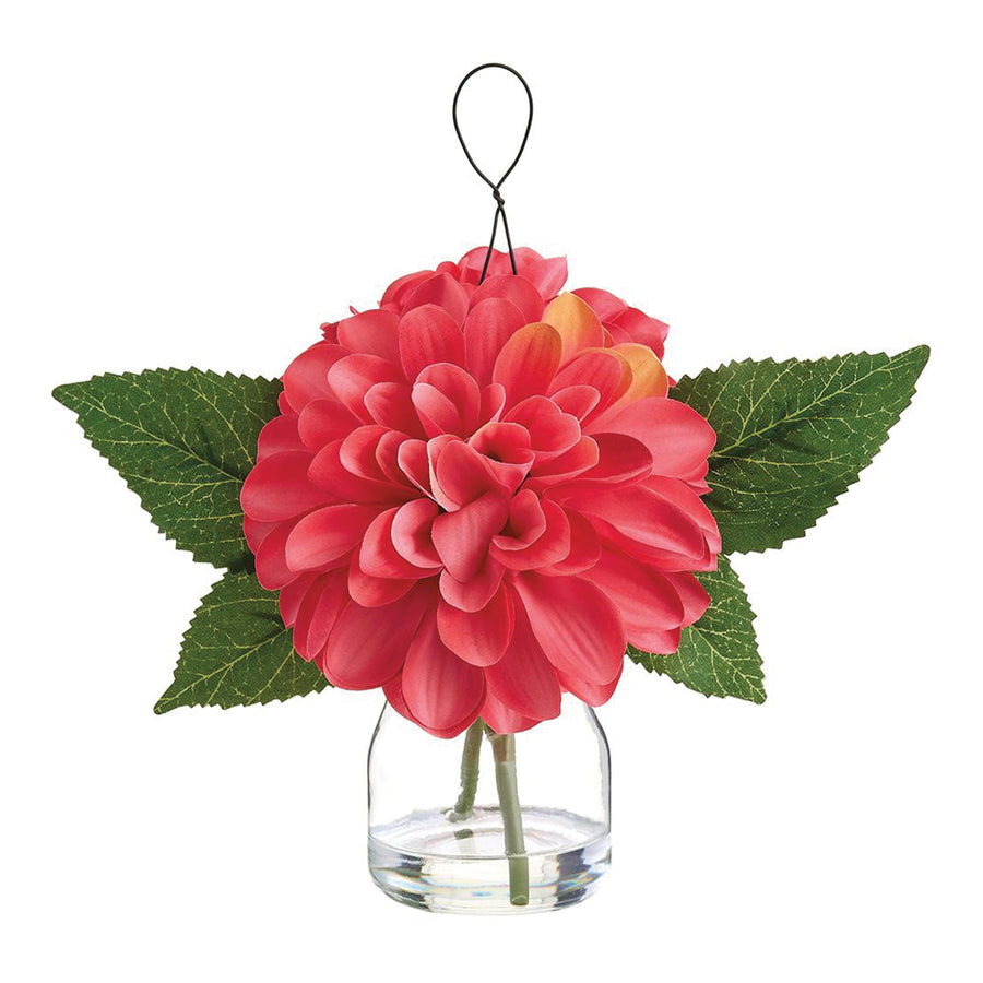Hanging Dahlia in Glass Vase Coral