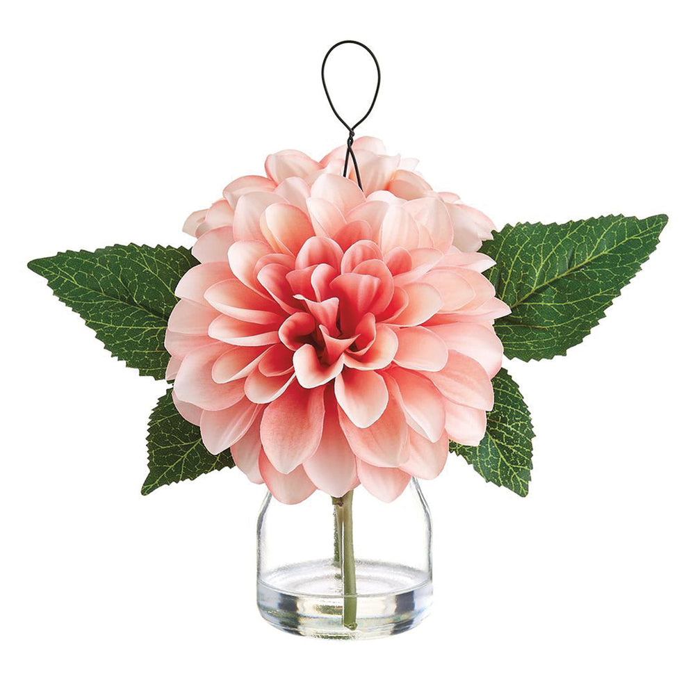 Hanging Dahlia in Glass Vase Peach