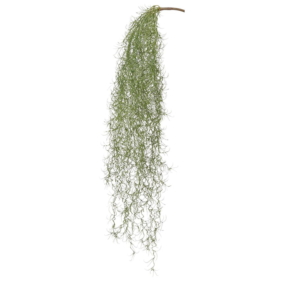 Hanging Spanish Moss Spray