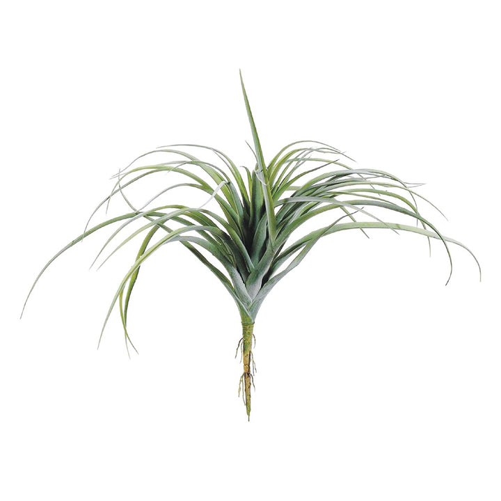 Tillandsia Pick 11 Inches