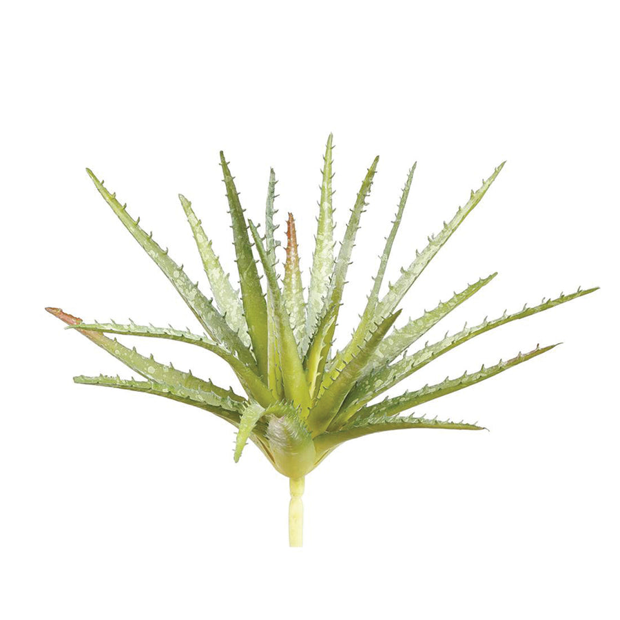 Real Touch Aloe Pick