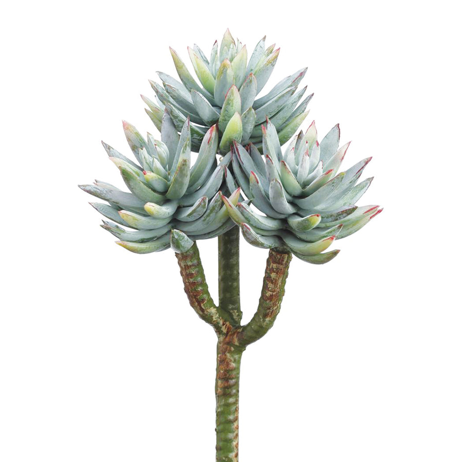 Mini Agave Pick